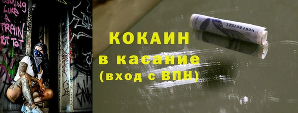 сатива Корсаков