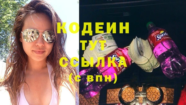 сатива Корсаков