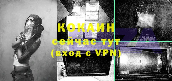 сатива Корсаков
