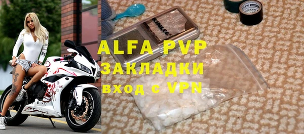 сатива Корсаков