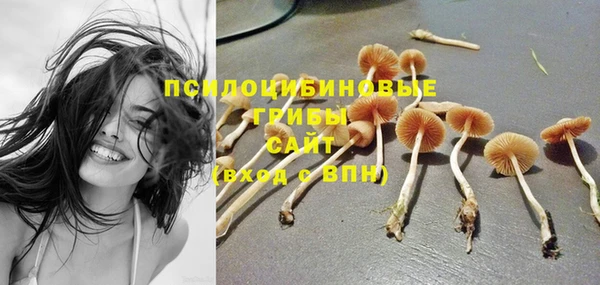 дживик Коряжма
