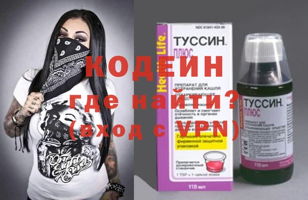 сатива Корсаков