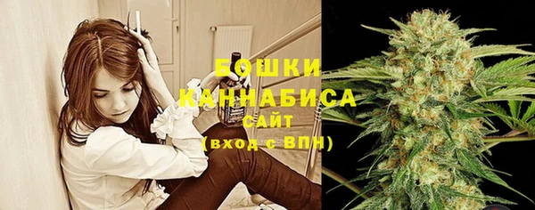 сатива Корсаков