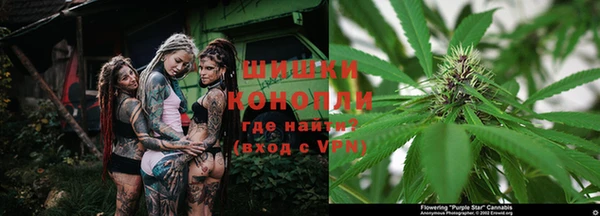 spice Костерёво