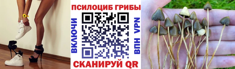 Псилоцибиновые грибы мухоморы  Купить  Усть-Джегута 